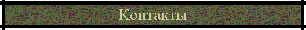 Контакты